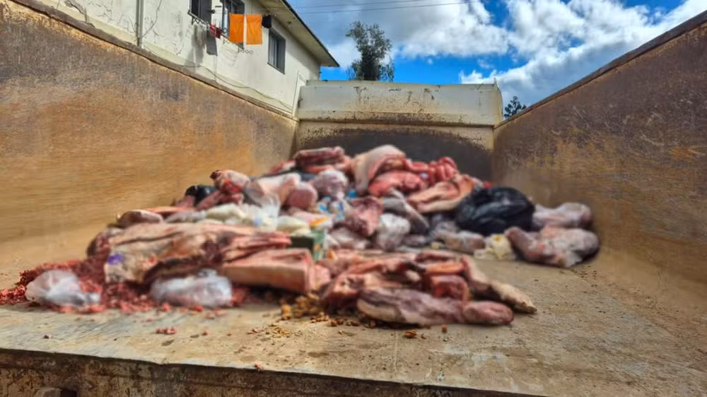 Grande apreensão de carnes.