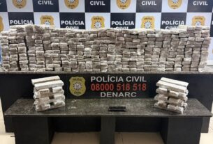 Polícia Civil apreende 203 quilos de maconha e prende suspeito em Sapucaia do Sul